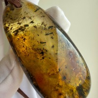 Large Honey Baltic Amber Pendant with Inclusions, 56mm, 20g