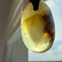 Clear Golden Baltic Amber Pendant with Inclusions, 9g