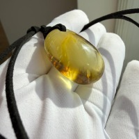 Clear Golden Baltic Amber Pendant with Inclusions, 9g