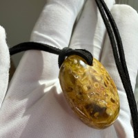 Polished Honey Baltic Amber Pendant with Inclusions, 30mm, 7g