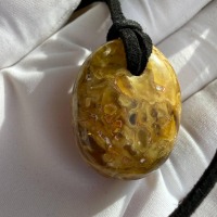 Polished Honey Baltic Amber Pendant with Inclusions, 30mm, 7g