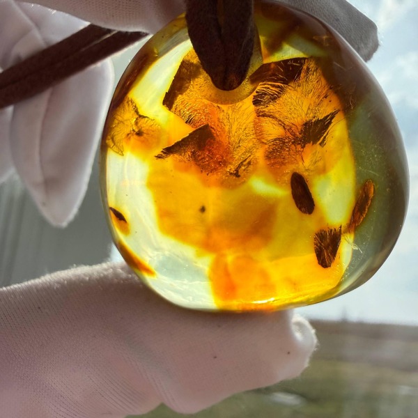 Large Honey Cognac Baltic Amber Pendant, Landscape Inclusions