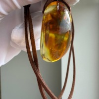 Large Honey Cognac Baltic Amber Pendant, Landscape Inclusions