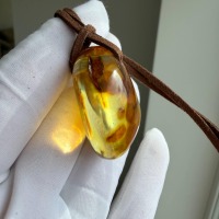 Large Honey Cognac Baltic Amber Pendant, Landscape Inclusions