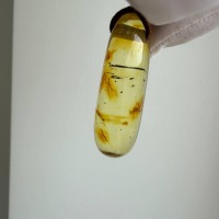 Honey Baltic Amber Drop Pendant, Minimalist, 8g
