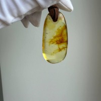 Honey Baltic Amber Drop Pendant, Minimalist, 8g