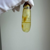 Honey Baltic Amber Drop Pendant, Minimalist, 8g