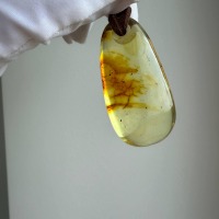 Honey Baltic Amber Drop Pendant, Minimalist, 8g