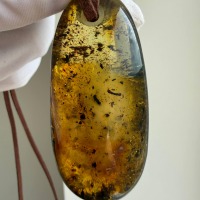 Large Honey Baltic Amber Pendant with Inclusions, 56mm, 20g