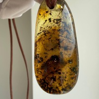 Large Honey Baltic Amber Pendant with Inclusions, 56mm, 20g