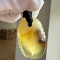 Clear Golden Baltic Amber Pendant with Inclusions, 9g