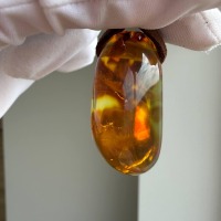 Large Honey Cognac Baltic Amber Pendant, Landscape Inclusions