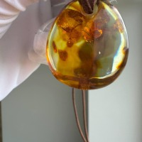 Large Honey Cognac Baltic Amber Pendant, Landscape Inclusions