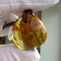 Large Honey Cognac Baltic Amber Pendant, Landscape Inclusions