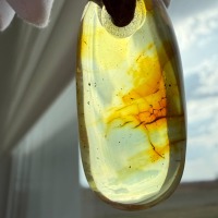 Honey Baltic Amber Drop Pendant, Minimalist, 8g