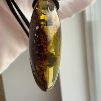 Dark Cognac Baltic Amber Pendant, Oval with Golden Inclusions