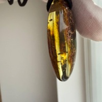 Dark Cognac Baltic Amber Pendant, Oval with Golden Inclusions