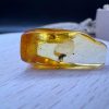 Natural Baltic Amber Pendant with Insect Inclusion