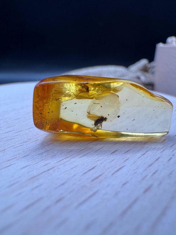 Natural Baltic Amber Pendant with Insect Inclusion
