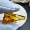 Natural Baltic Amber Pendant with Insect Inclusion