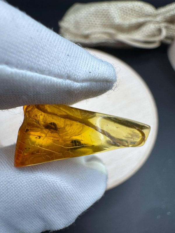 Natural Baltic Amber Pendant with Insect Inclusion