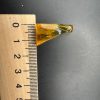 Natural Baltic Amber Pendant with Insect Inclusion