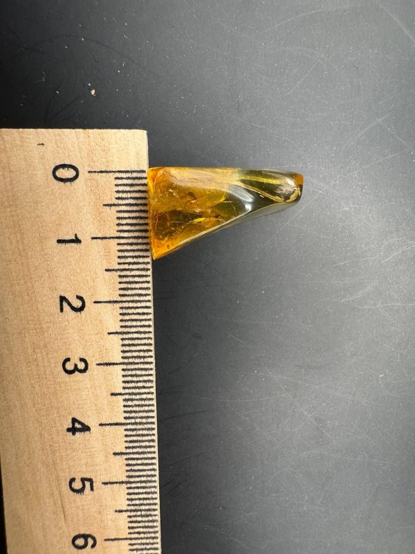 Natural Baltic Amber Pendant with Insect Inclusion