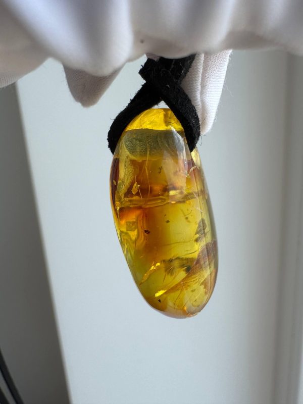 Natural Baltic Amber Pendant Necklace Amber Teardrop Pendant Golden Ho