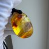 Natural Baltic Amber Pendant Necklace Amber Teardrop Pendant Golden Ho
