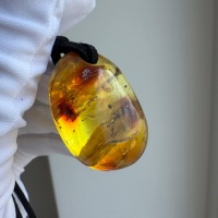 il_fullxfull.8099109174_8nix.jpg Golden Honey Baltic Amber Teardrop Pendant, 32mm, 7g
