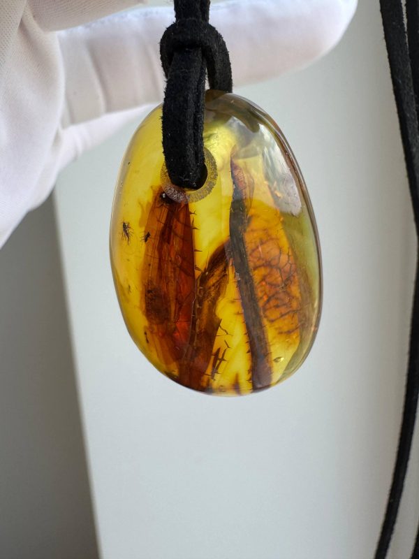 Baltic Amber Pendant with 5 Insect Inclusions Amber Necklace Natural A