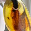 Baltic Amber Pendant with 5 Insect Inclusions Amber Necklace Natural A