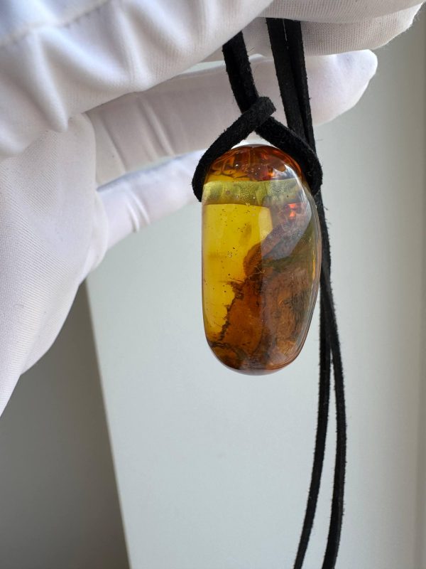 Baltic Amber Pendant with 5 Insect Inclusions Amber Necklace Natural A
