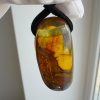 Baltic Amber Pendant with 5 Insect Inclusions Amber Necklace Natural A