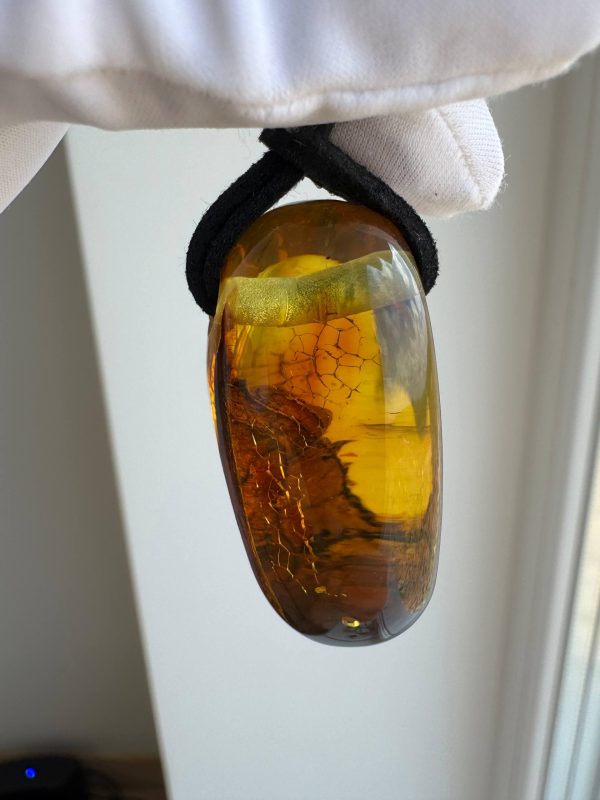 Baltic Amber Pendant with 5 Insect Inclusions Amber Necklace Natural A