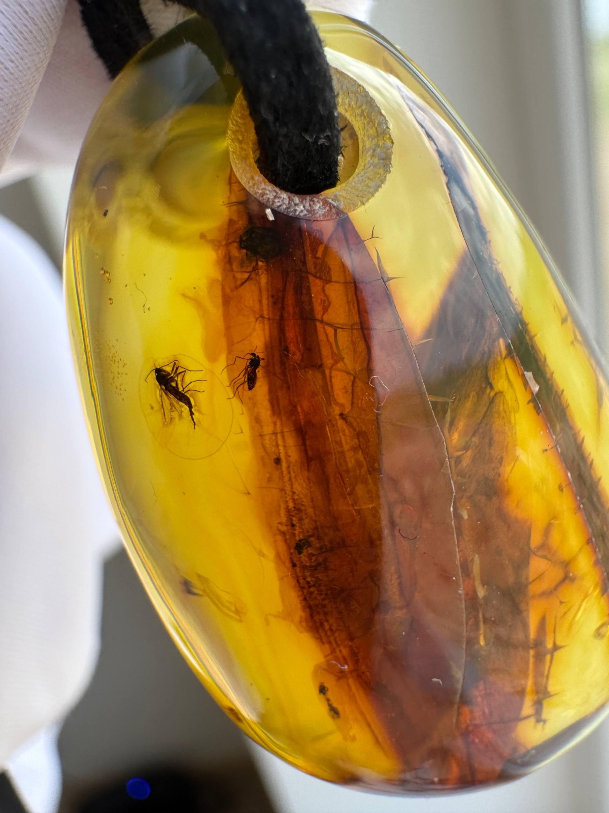 Baltic Amber Pendant with 5 Insect Inclusions, Honey Cognac, 11g