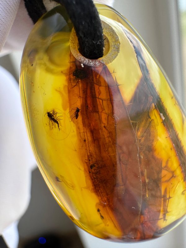 Baltic Amber Pendant with 5 Insect Inclusions Amber Necklace Natural A