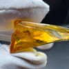 Natural Baltic Amber Pendant with Insect Inclusion