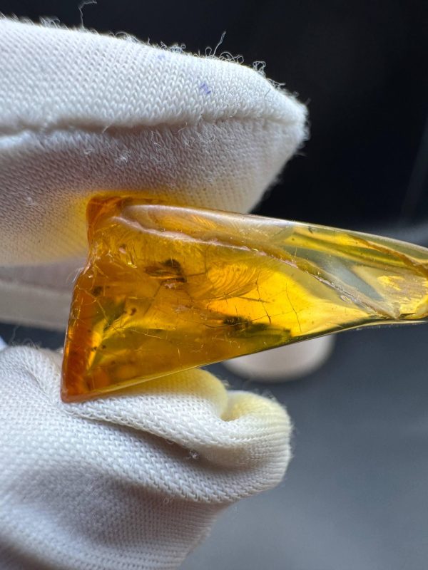 Natural Baltic Amber Pendant with Insect Inclusion