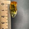 Natural Baltic Amber Pendant with Insect Inclusion