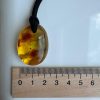 Natural Baltic Amber Pendant Necklace Amber Teardrop Pendant Golden Ho