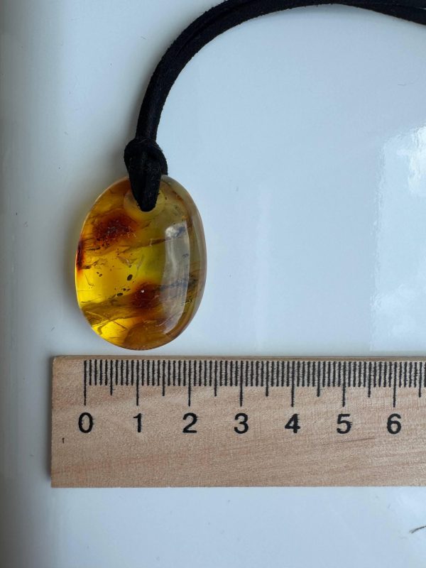 Natural Baltic Amber Pendant Necklace Amber Teardrop Pendant Golden Ho