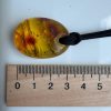 Natural Baltic Amber Pendant Necklace Amber Teardrop Pendant Golden Ho