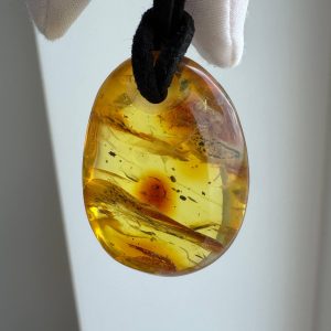 Natural Baltic Amber Pendant Necklace Amber Teardrop Pendant Golden Ho
