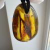 Baltic Amber Pendant with 5 Insect Inclusions Amber Necklace Natural A