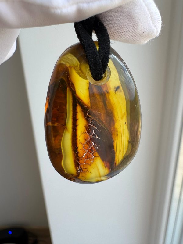 Baltic Amber Pendant with 5 Insect Inclusions Amber Necklace Natural A