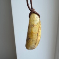 il_fullxfull.8150932245_nv38.jpg Egg Yolk Baltic Amber Pendant, Large Butterscotch Oval, 17.5g