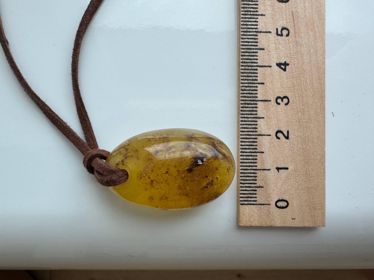 Oval Honey Baltic Amber Pendant with Natural Inclusions