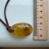 Oval Honey Baltic Amber Pendant with Natural Inclusions