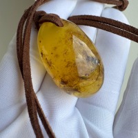 Oval Honey Baltic Amber Pendant with Natural Inclusions